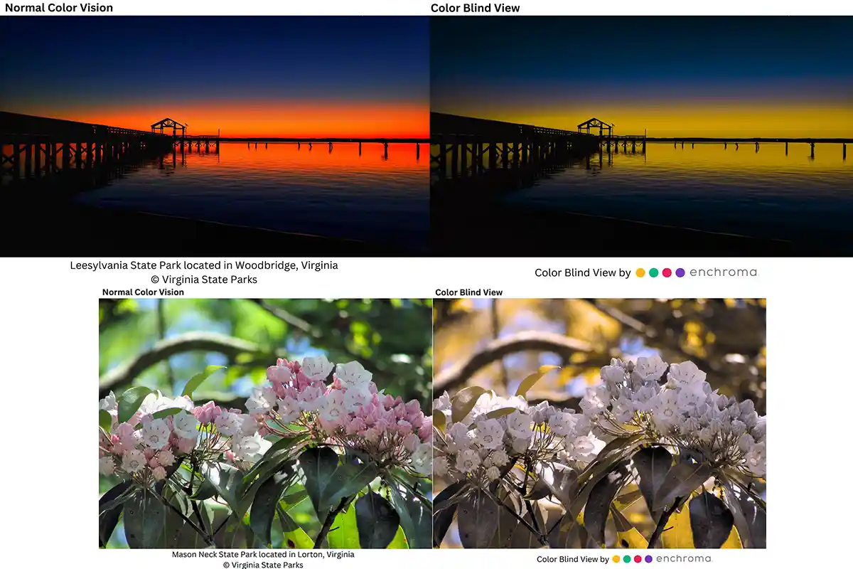Leesylvania State Park and Mason Neck State Park views using Enchroma's viewfinder
