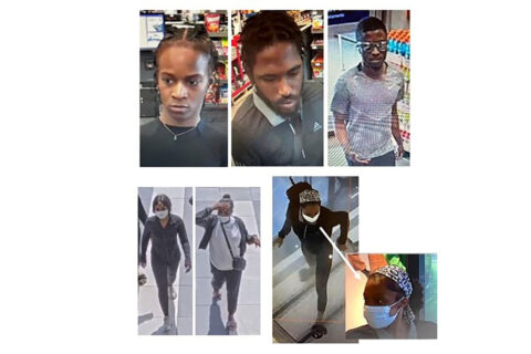 suspects in handbag thefts