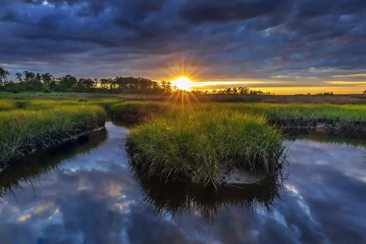 coastal marshes in Virginia