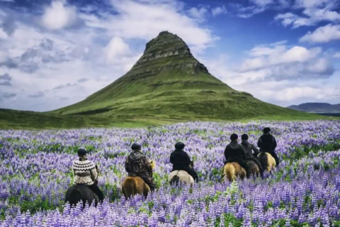 Iceland