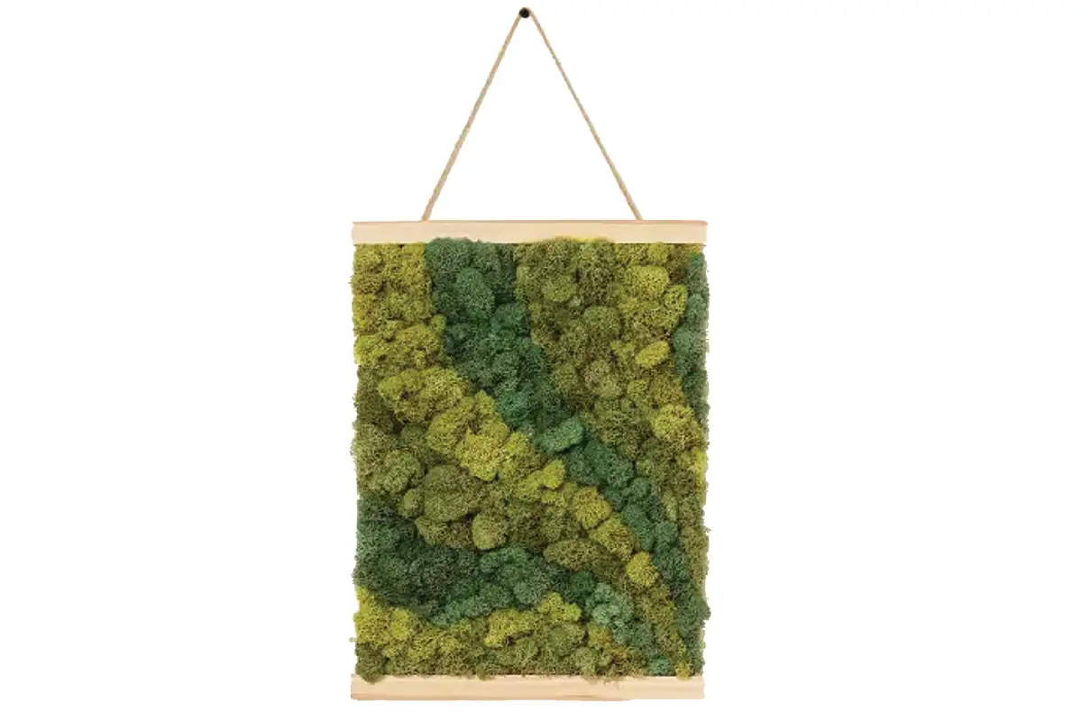 Moss art by numbers