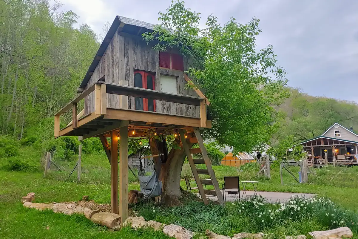 Treehouse Airbnb