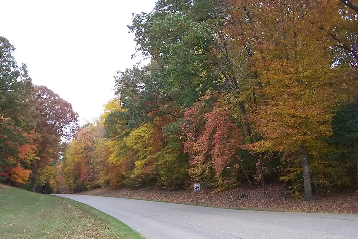 Colonial Parkway