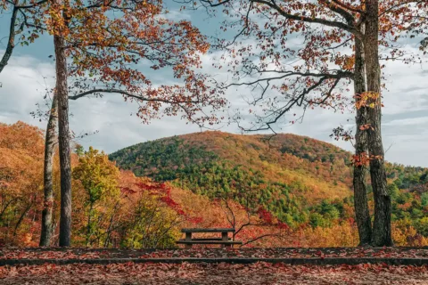 George Washington National Forest