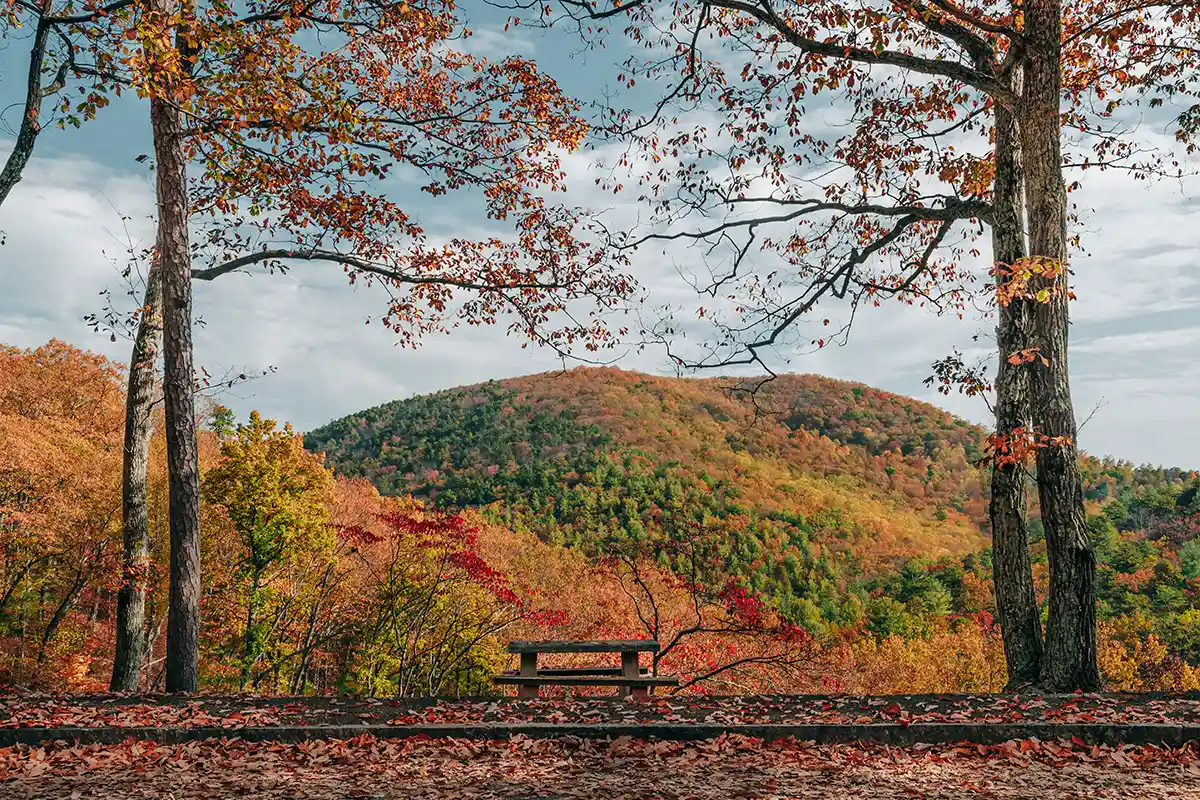 George Washington National Forest