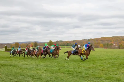 International Gold Cup in 2015
