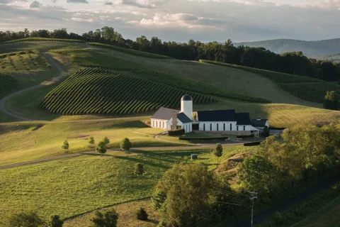 RdV estate