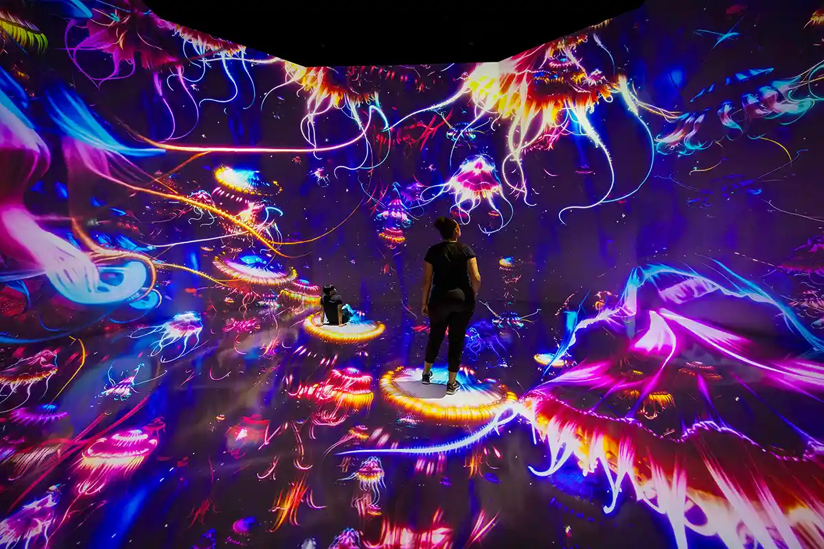 person standing in projection room of jellyfish at Artechouse