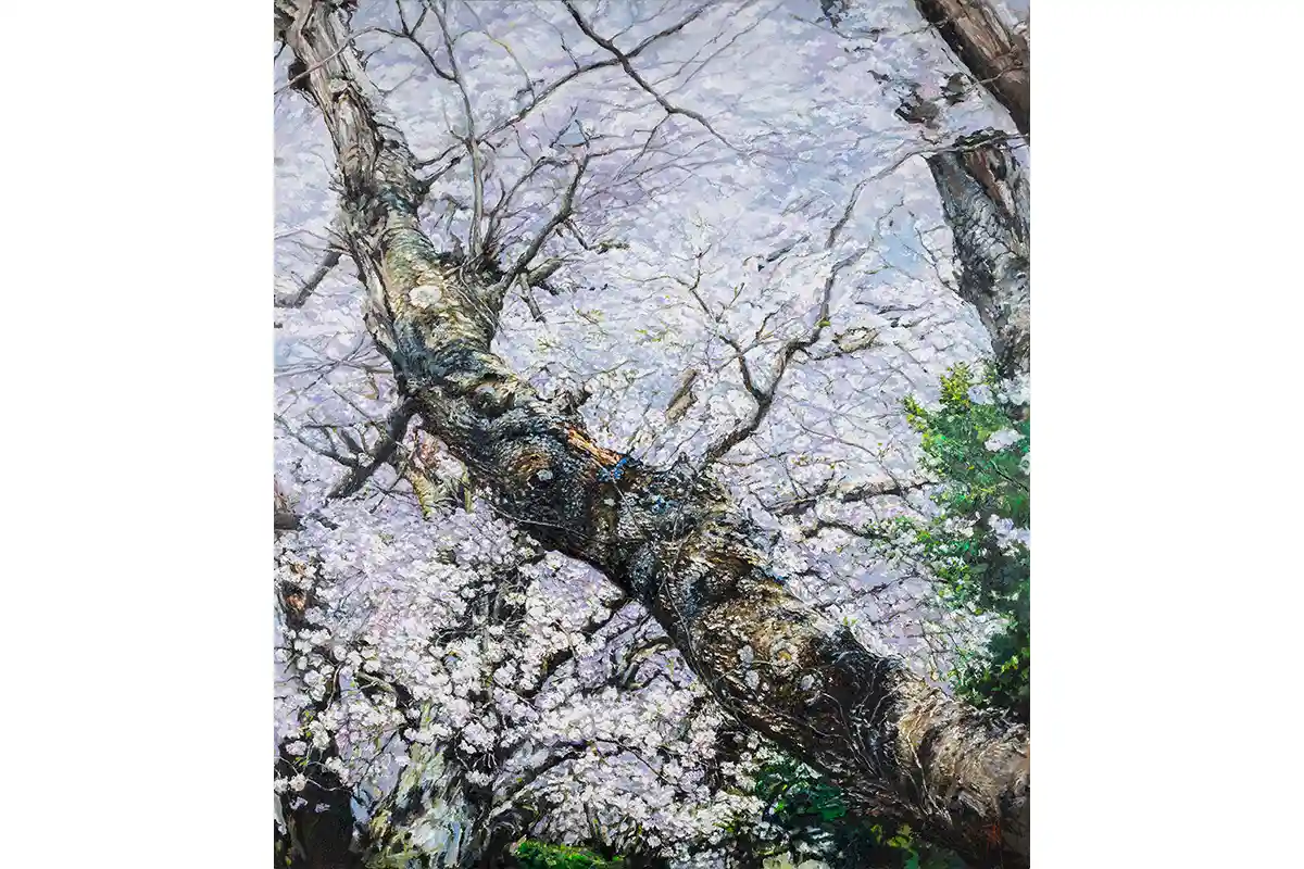 Pakan Penn's cherry blossom work