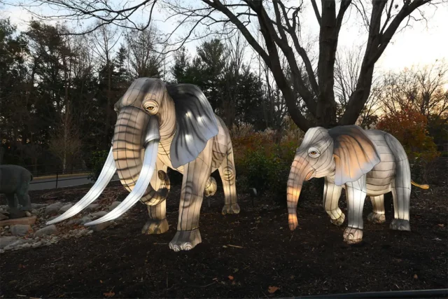 Elephants at ZooLights