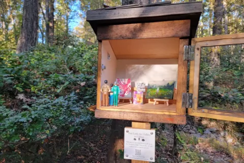 free art gallery box