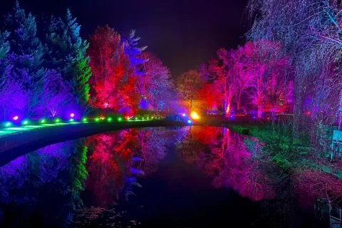 garden with multi-color trees