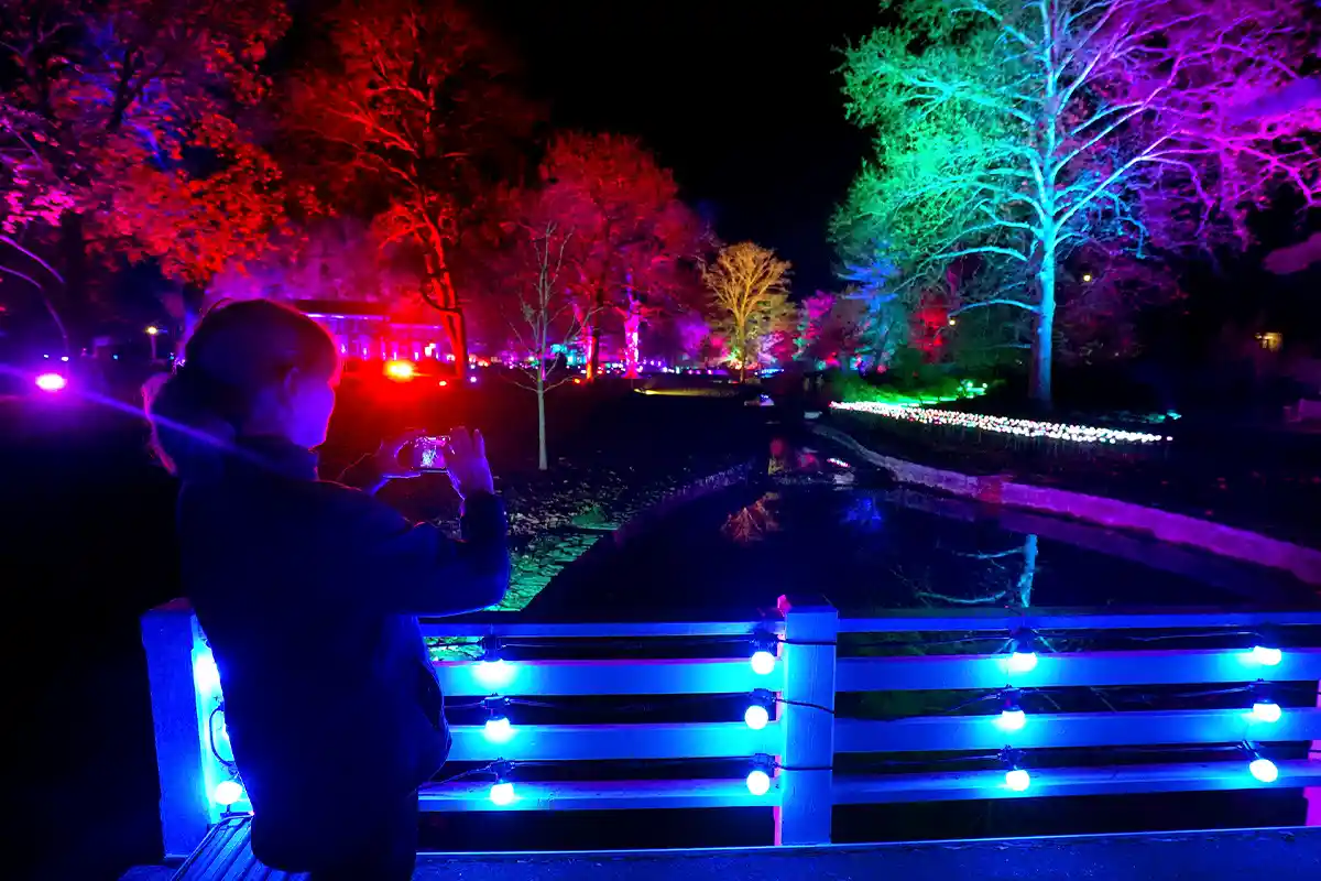 woman taking photo of colorful trees at Garden Lights