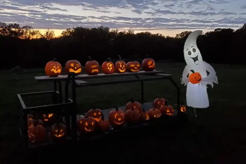 table of carved pumpkins with ghost inflatable decoration