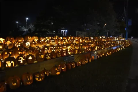 jack-o-lantern display at pumpkin illuminight
