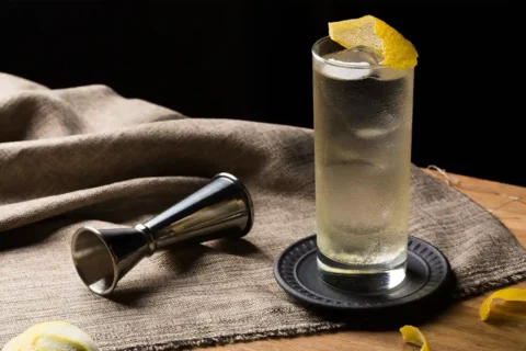 Japanese Highball whisky and tonic cocktail