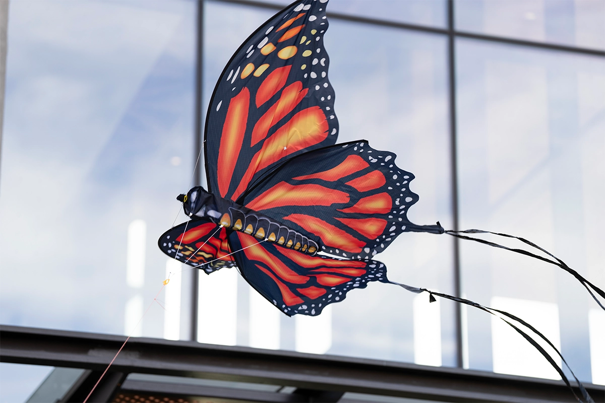 butterfly kite