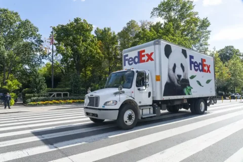 FedEx truck transporting giant panda