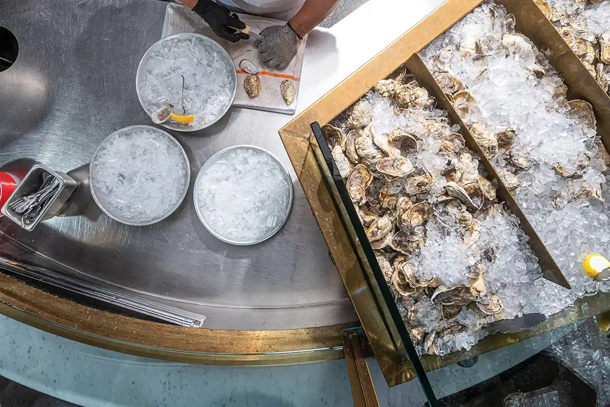 oysters on ice at the salt line