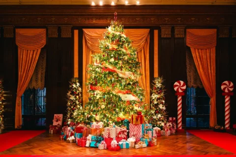 Tree at Longwood Gardens