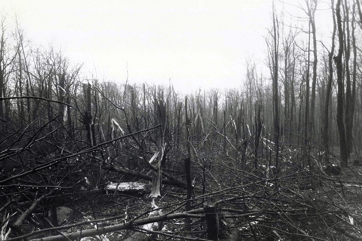 Debris in the woods