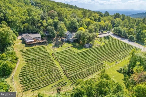 Aerial view of 18035 Raven Rocks Rd.