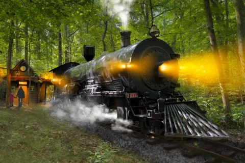 polar express train replica
