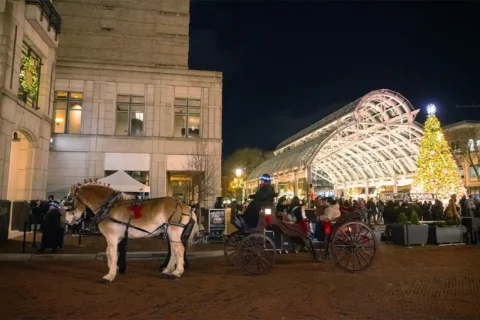 horse-drawn carriage ride at reston town center