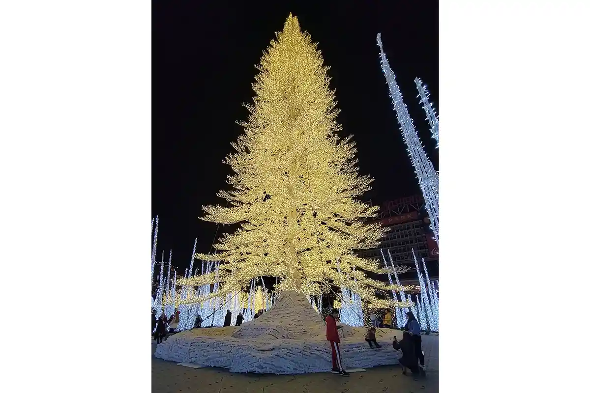enchant christmas tree