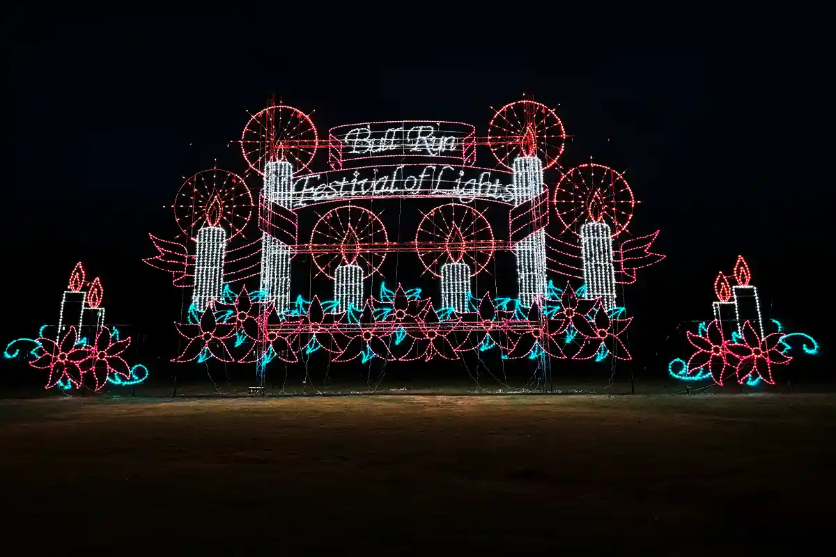 Bull run christmas lights discount