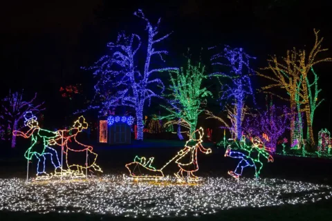 Meadowlark Winter Walk of Lights
