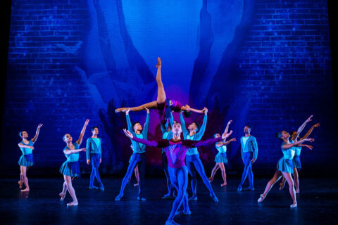Performance of the RISE project
