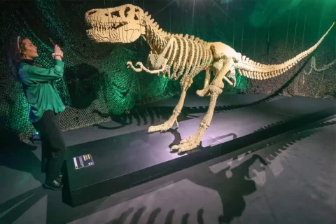 dinosaur lego sculpture at art of the brick