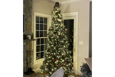 owl on top of christmas tree