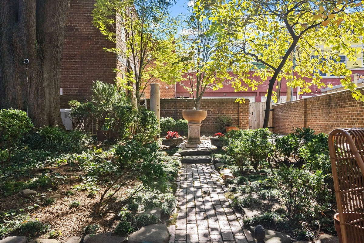 908 Cameron St. garden