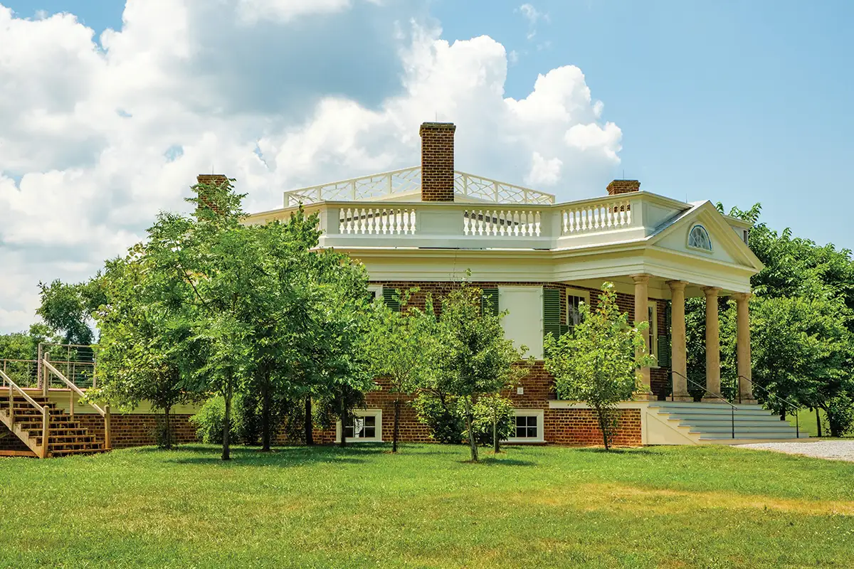 Poplar forest