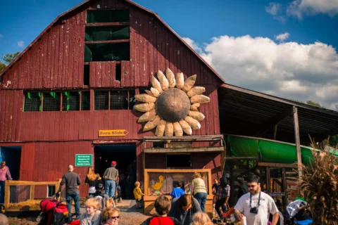 Cox Farms Barn during fall festival