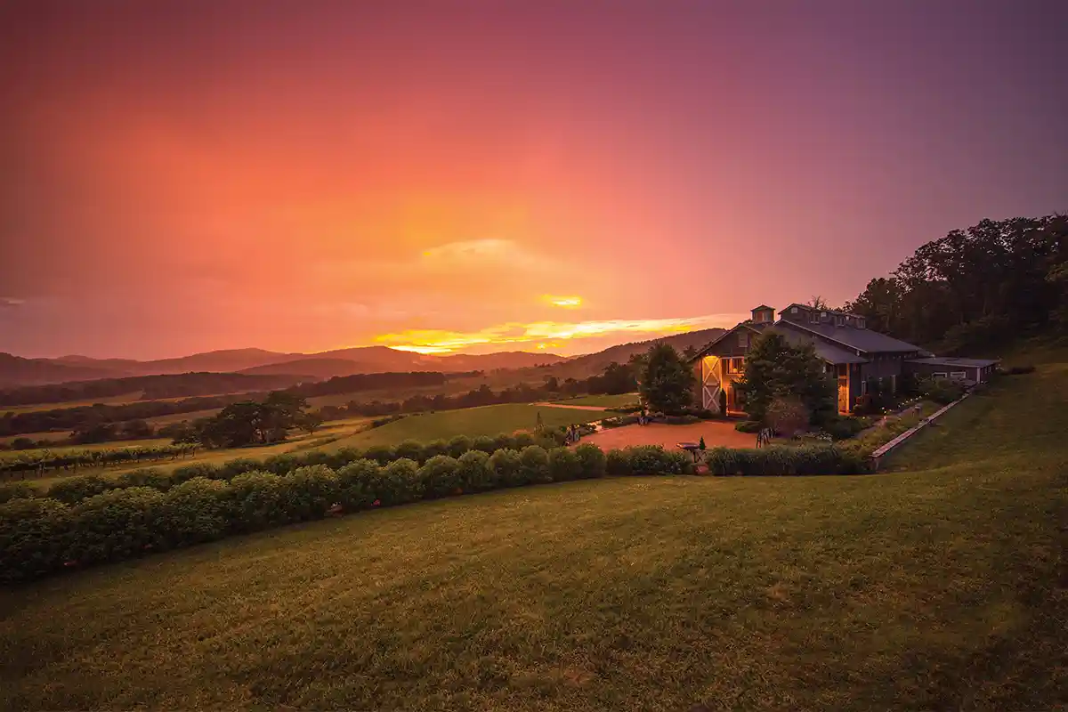 sunset at Pippin hill farm & vineyards