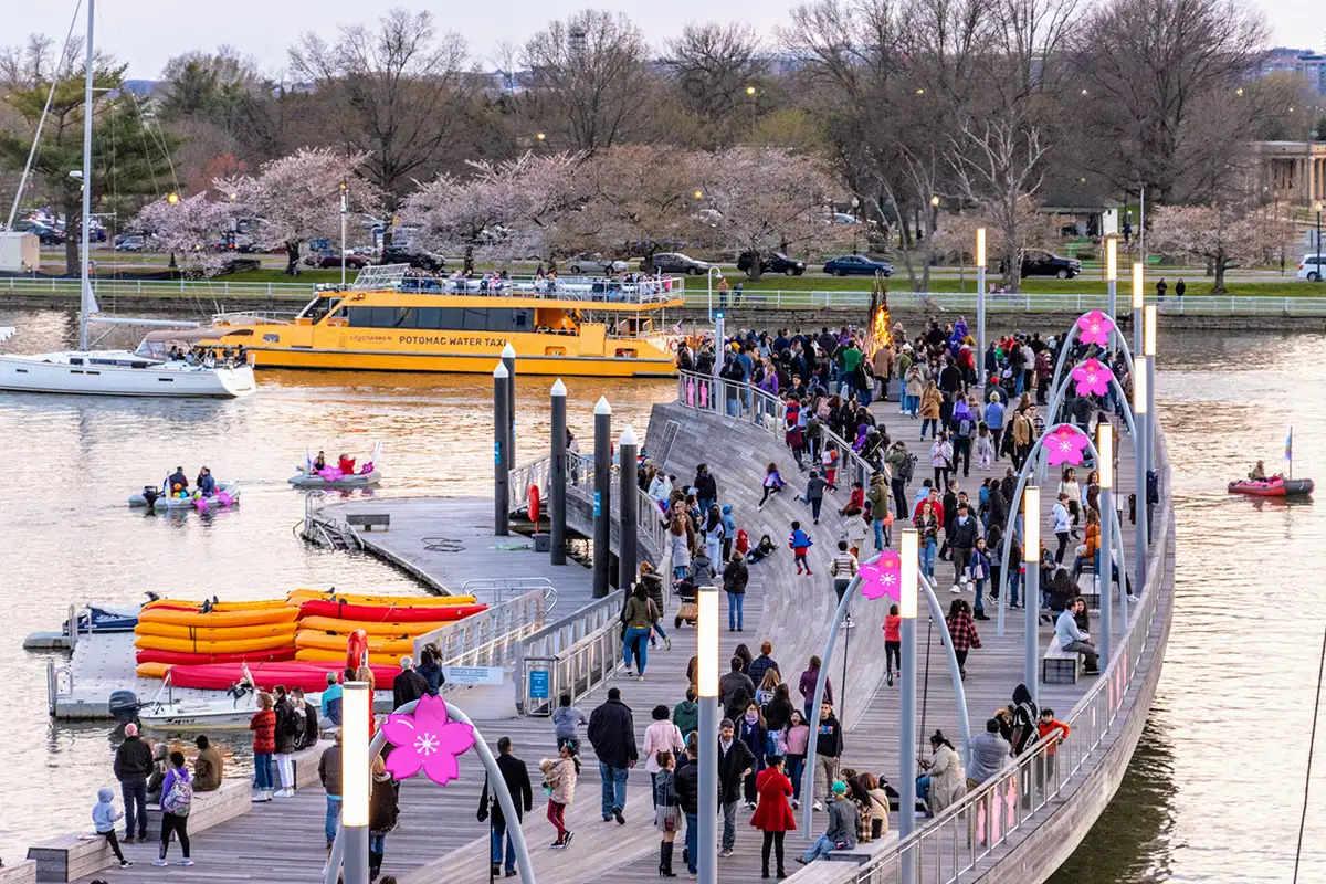 The Wharf's cherry blossom event this weekend