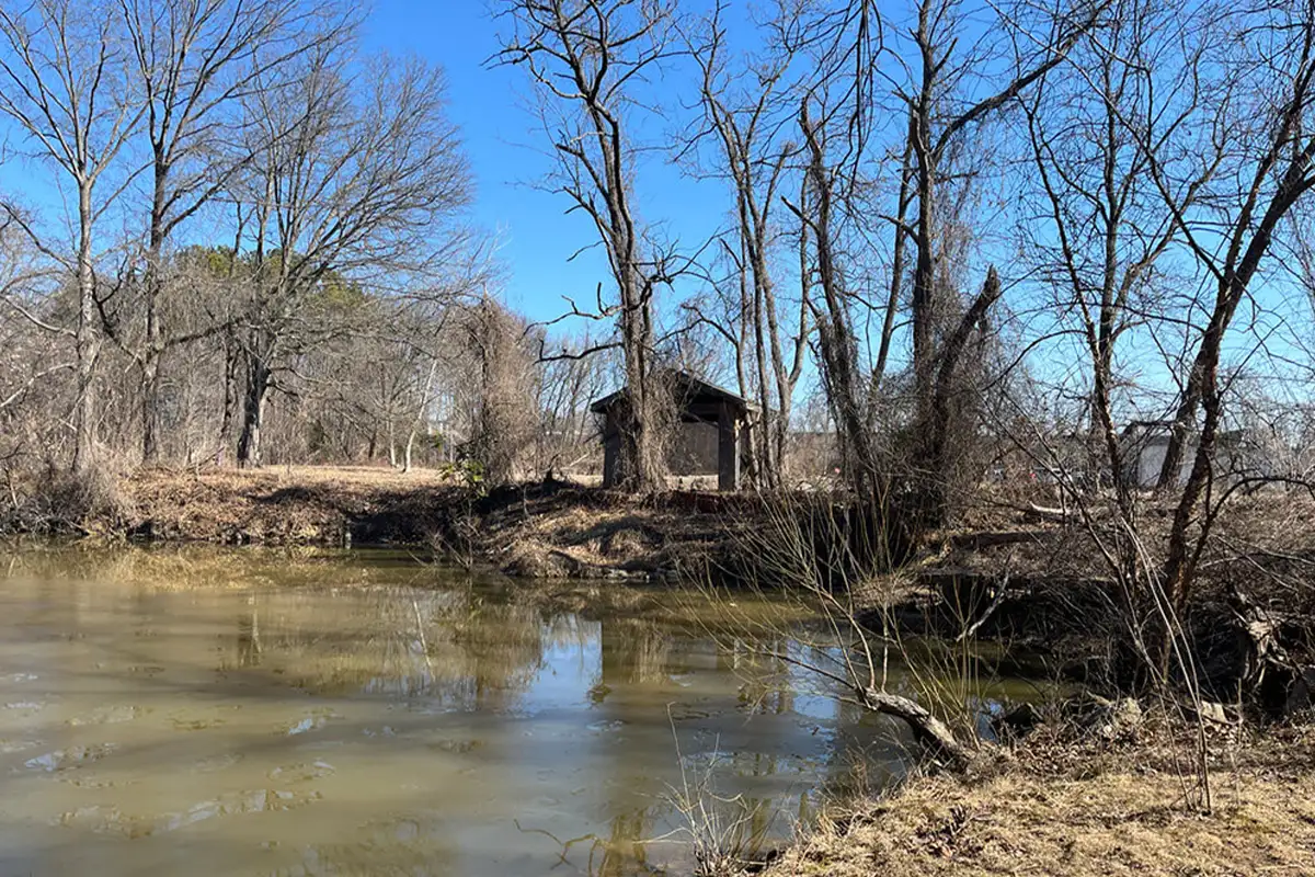 Dogue Creek