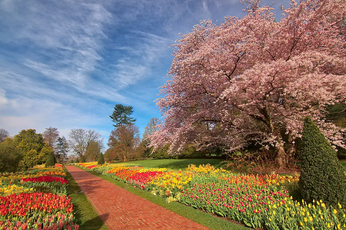 Longwood Gardens