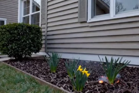 A small fire is burning next to flowers in a mulch bed outside a home