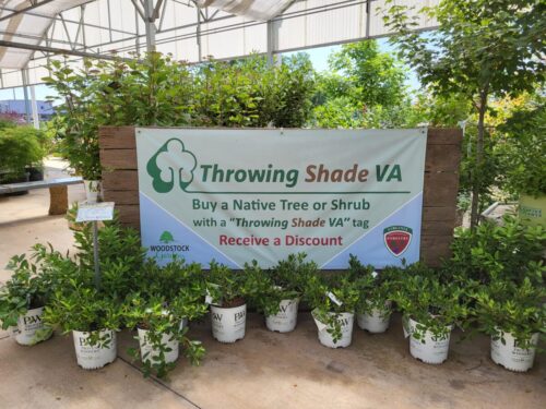 Plants surround a sign for the VA Department of Forestry's Throwing Shade program.