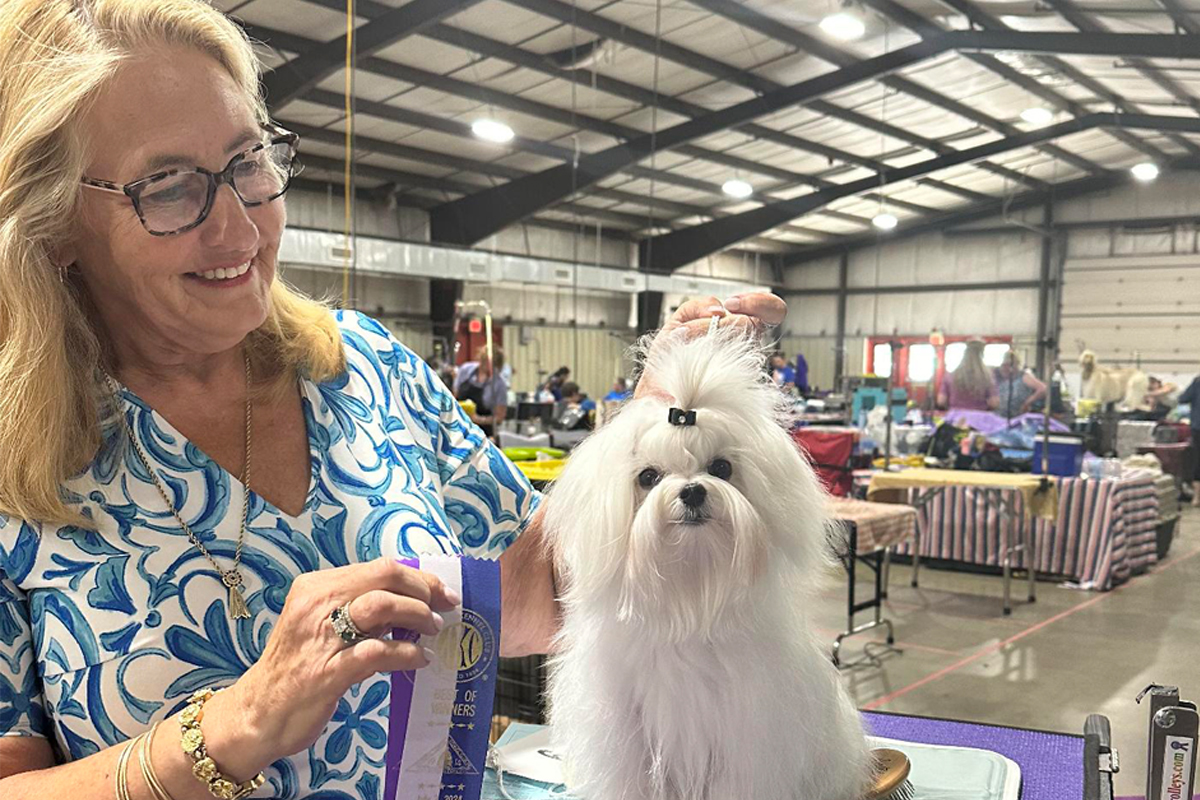 claire wisch abraham