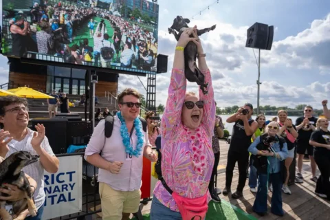 Chihuahua race