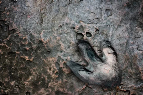 Dinosaur footprint