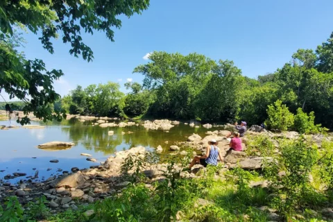 Adult Summer Camps