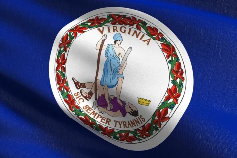 Virginia State Flag