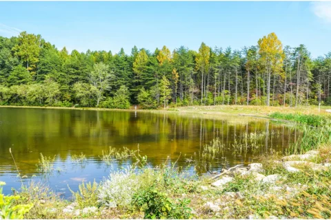 Burke Lake in Burke, VA near South Run, VA