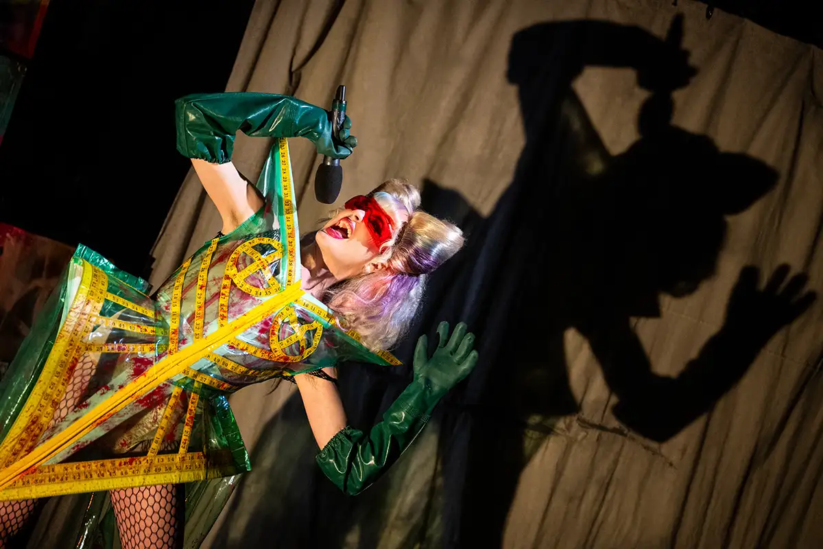 Hedwig and the Angry Inch